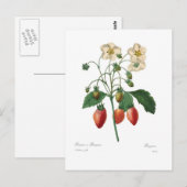Aardbei Briefkaart (Voorkant / Achterkant)