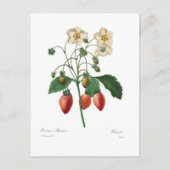 Aardbei Briefkaart (Voorkant)