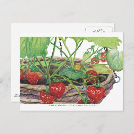 Aardbei Briefkaart (Voorkant / Achterkant)