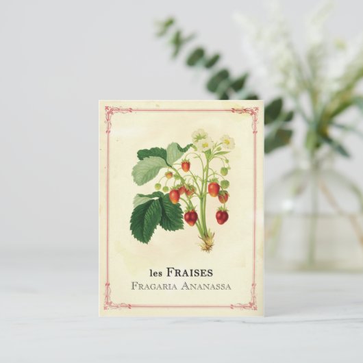 Aardbei Briefkaart (Staand voorkant)