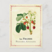 Aardbei Briefkaart (Voorkant)