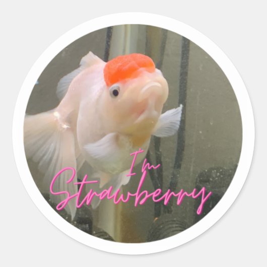Aardbei De Sticker Goldfish (Voorkant)