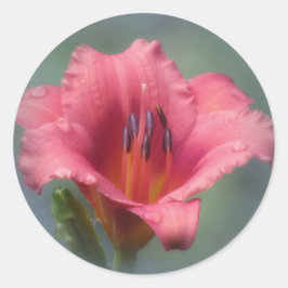 Aardbei en blauw - Daylily Ronde Sticker