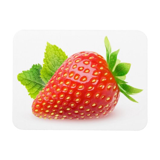 Aardbei en munt magneet (Horizontaal)