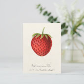 Aardbei (Fragaria) Waterverf van fruit Briefkaart (Staand voorkant)