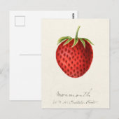 Aardbei (Fragaria) Waterverf van fruit Briefkaart (Voorkant / Achterkant)