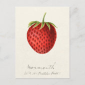 Aardbei (Fragaria) Waterverf van fruit Briefkaart (Voorkant)