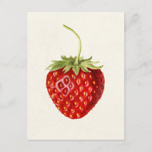 Aardbei (Fragaria) Waterverf van fruit Briefkaart