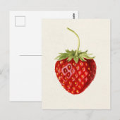 Aardbei (Fragaria) Waterverf van fruit Briefkaart (Voorkant / Achterkant)
