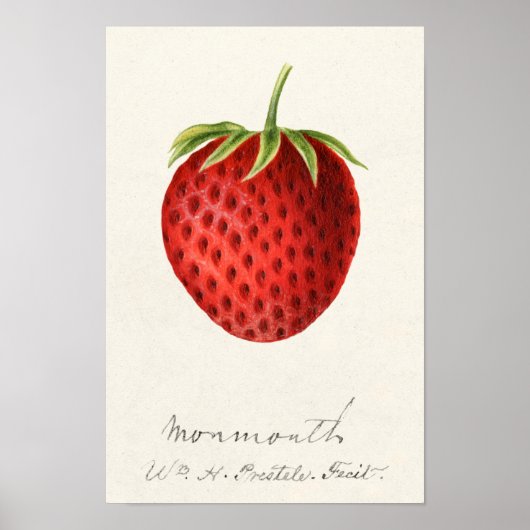 Aardbei (Fragaria) Waterverf van fruit Poster (Voorkant)