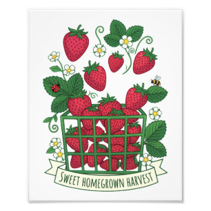 Aardbei Fruit Voedsel Bes Zoete Mand Foto Afdruk