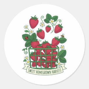 Aardbei Fruit Voedsel Bes Zoete Mand Ronde Sticker