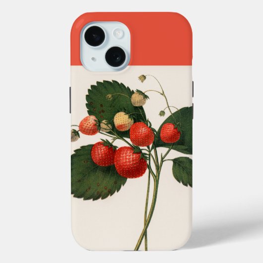 aardbei in Boston Pine Case-Mate iPhone Case (Achterkant)