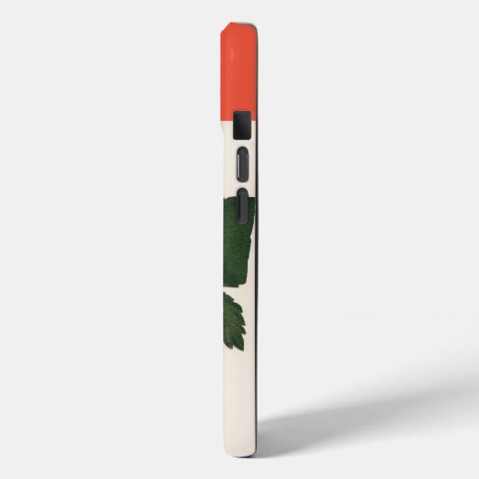  aardbei in Boston Pine Case-Mate iPhone Case (Achterkant / Links)