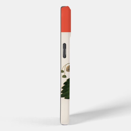  aardbei in Boston Pine Case-Mate iPhone Case (Achterkant / Rechts)