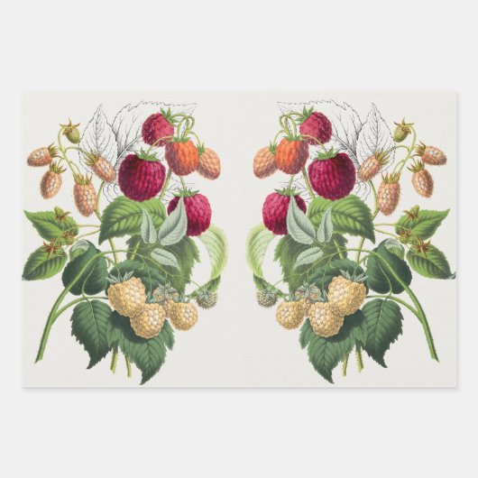  aardbei inpakpapier vel (Voorkant 3)