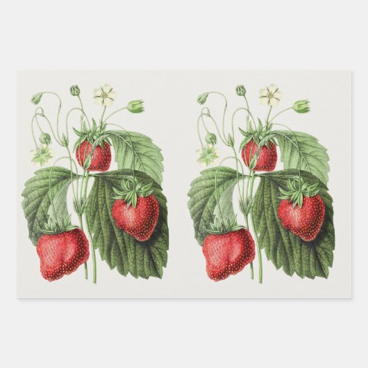  aardbei inpakpapier vel (Voorkant 2)