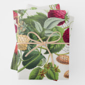  aardbei inpakpapier vel (In situ)