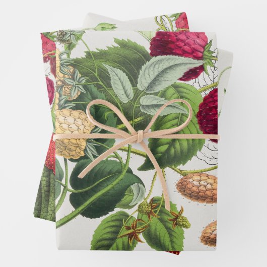  aardbei inpakpapier vel (In situ)