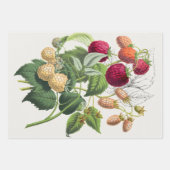 aardbei inpakpapier vel (Voorkant)