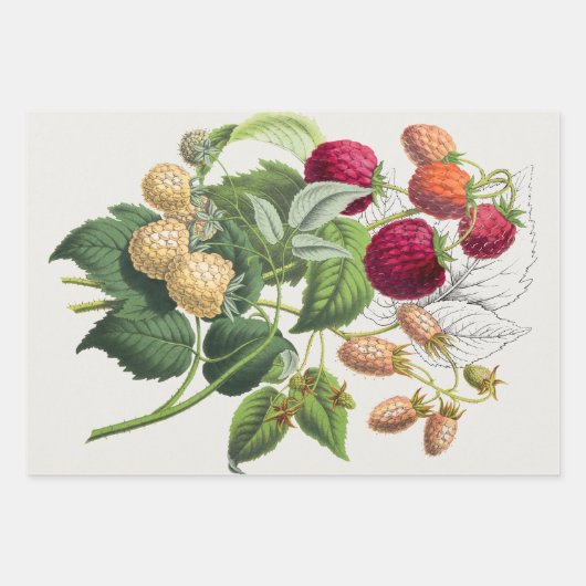  aardbei inpakpapier vel (Voorkant)