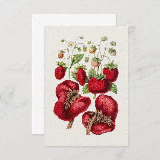  aardbei kaart (Voorkant / Achterkant)
