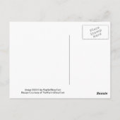 Aardbei Koriander Martini Recept Briefkaart (Achterkant)