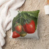 aardbei kussen (Deken)