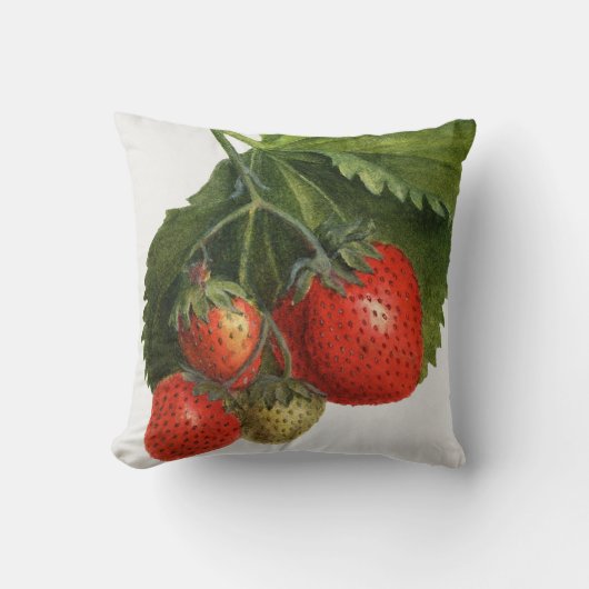 aardbei kussen (Voorkant)