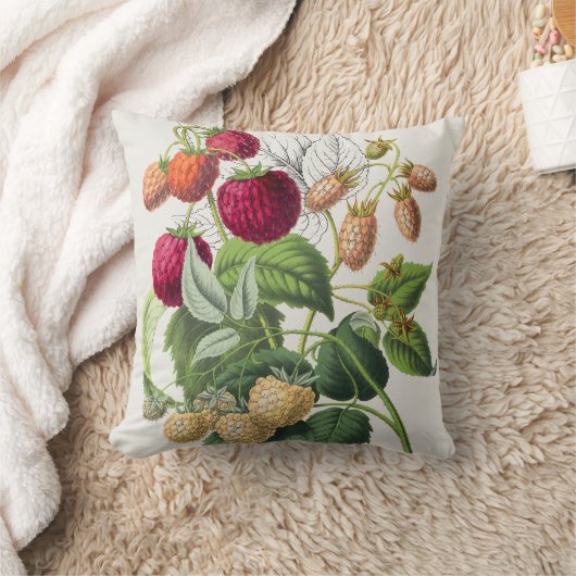 aardbei kussen (Deken)