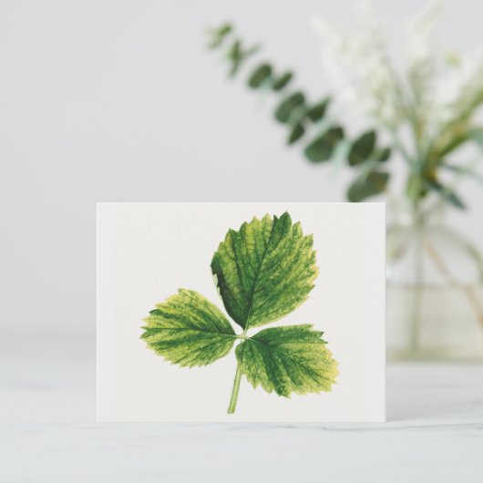  aardbei laat Waterverf schilderen Briefkaart (Staand voorkant)