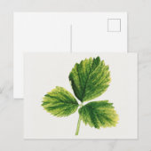  aardbei laat Waterverf schilderen Briefkaart (Voorkant / Achterkant)