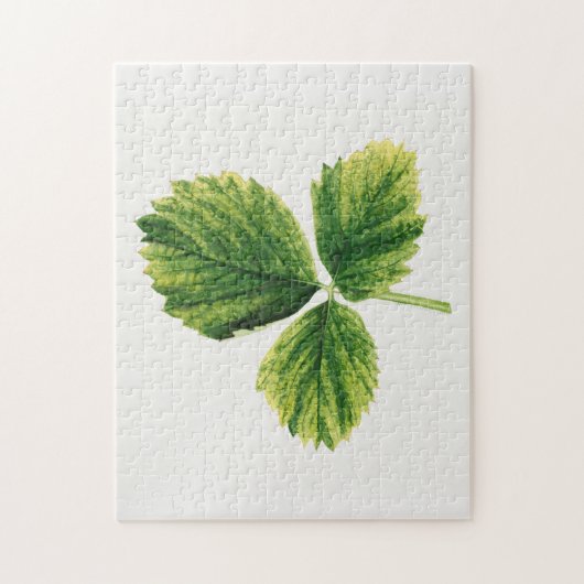 aardbei laat Waterverf schilderen Legpuzzel (Verticaal)