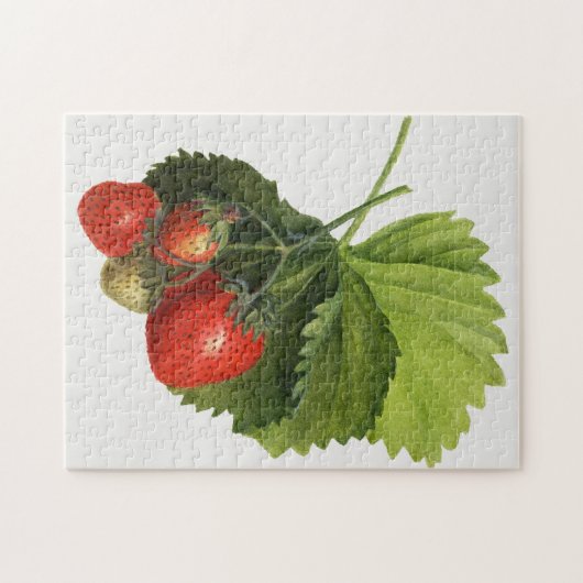  aardbei legpuzzel (Horizontaal)