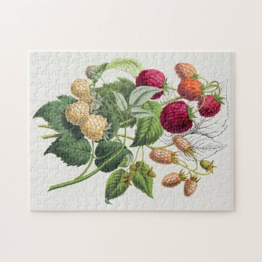  aardbei legpuzzel (Horizontaal)