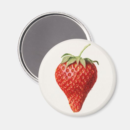  aardbei magneet (Voorkant / Achterkant)