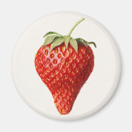 aardbei magneet