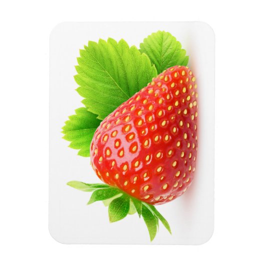 Aardbei Magneet (Verticaal)