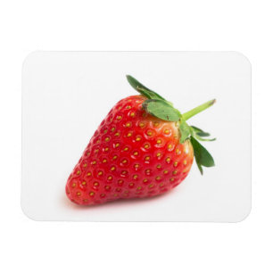 Aardbei Magneet