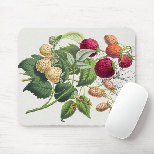  aardbei muismat (Met muis)