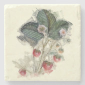  aardbei Plant Waterverf kunst Stenen Onderzetter (Voorkant)
