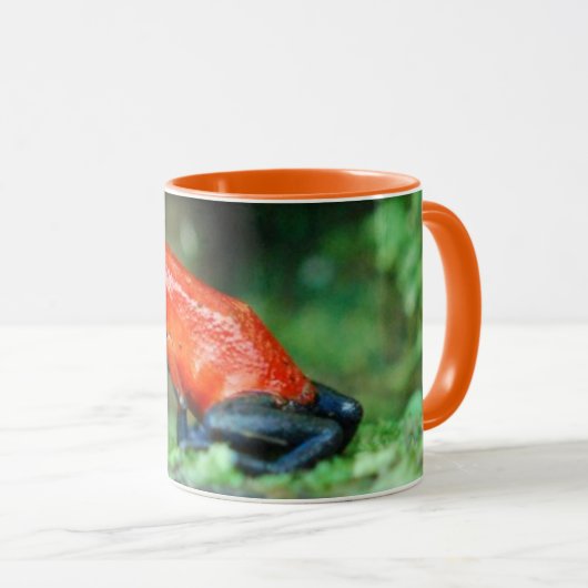 Aardbei Poison Dart Frog, Costa Rica Mok (Voorkant rechts)