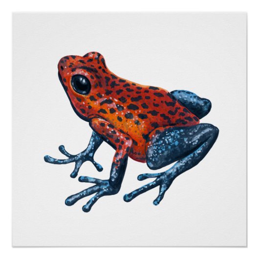 Aardbei Poison dart frog Perfect Poster (Voorkant)