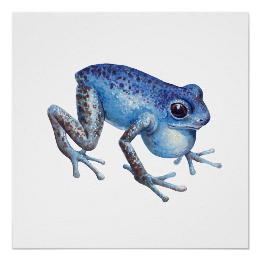 Aardbei Poison dart frog Perfect Poster (Voorkant)