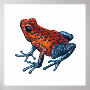 Aardbei Poison dart frog Poster