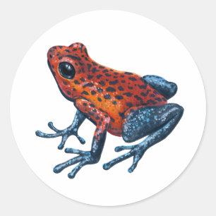 Aardbei Poison dart frog Ronde Sticker
