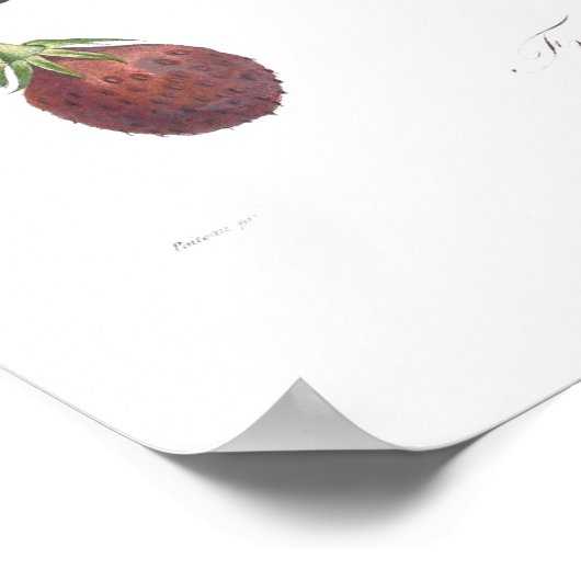 Aardbei Poster (Hoek)