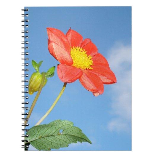 Aardbei rode bloesem bloem notitieboek (Voorkant)