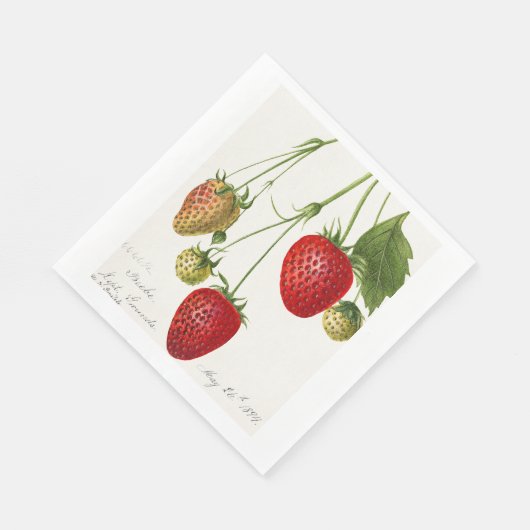 aardbei servet (Hoek)