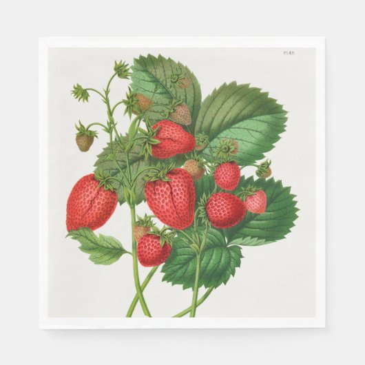 aardbei servet (Voorkant)